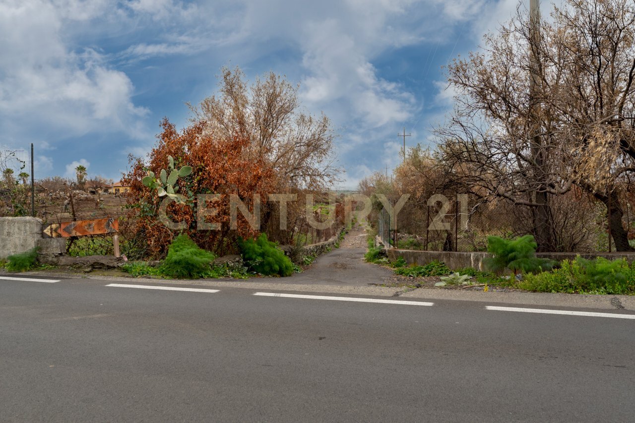 Terreno Belpasso (2).jpg - Agricultural land Via Santa Maria di Licodia, Belpasso - photo 3