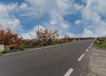 Terreno Belpasso (3).jpg - Agricultural land Via Santa Maria di Licodia, Belpasso - photo 4