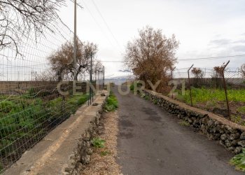 Terreno Belpasso (12).jpg - Agricultural land Via Santa Maria di Licodia, Belpasso - photo 7