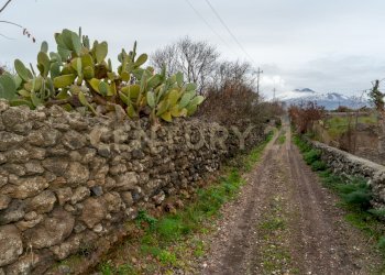 Terreno Belpasso (13).jpg - Agricultural land Via Santa Maria di Licodia, Belpasso - photo 8