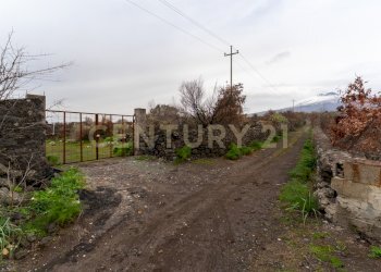 Terreno Belpasso (14).jpg - Agricultural land Via Santa Maria di Licodia, Belpasso - photo 9