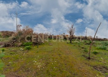 Terreno Belpasso (15).jpg - Agricultural land Via Santa Maria di Licodia, Belpasso - photo 10