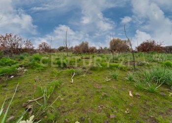 Terreno Belpasso (16).jpg - Agricultural land Via Santa Maria di Licodia, Belpasso - photo 11