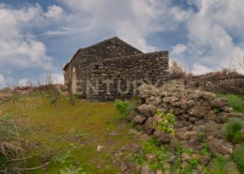 Terreno Belpasso (18).jpg - Agricultural land Via Santa Maria di Licodia, Belpasso - photo 13