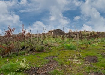 Terreno Belpasso (19).jpg - Agricultural land Via Santa Maria di Licodia, Belpasso - photo 14