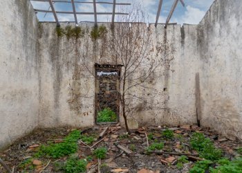 Terreno Belpasso (20).jpg - Agricultural land Via Santa Maria di Licodia, Belpasso - photo 15