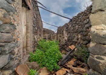 Terreno Belpasso (23).jpg - Agricultural land Via Santa Maria di Licodia, Belpasso - photo 18