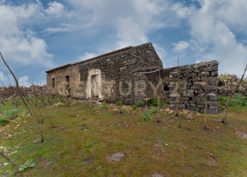 Terreno Belpasso (24).jpg - Agricultural land Via Santa Maria di Licodia, Belpasso - photo 19