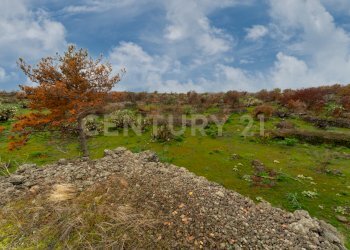Terreno Belpasso (26).jpg - Agricultural land Via Santa Maria di Licodia, Belpasso - photo 21