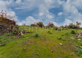 Terreno Belpasso (28).jpg - Agricultural land Via Santa Maria di Licodia, Belpasso - photo 22