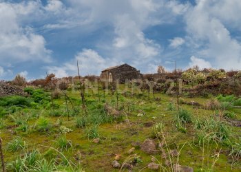 Terreno Belpasso (29).jpg - Agricultural land Via Santa Maria di Licodia, Belpasso - photo 23