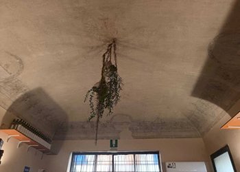 54d03fde-f07f-49ae-adb3-73160bbb77ad.jpg - Ristorante Palermo - foto 28