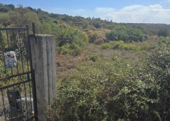 2.jpg - Agricultural land Via Luigi Pirandello, Camporotondo Etneo - photo 2