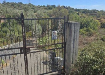 3.jpg - Agricultural land Via Luigi Pirandello, Camporotondo Etneo - photo 3