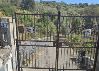 4.jpg - Agricultural land Via Luigi Pirandello, Camporotondo Etneo - photo 4