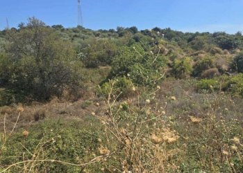 5.jpg - Agricultural land Via Luigi Pirandello, Camporotondo Etneo - photo 5