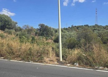 6.jpg - Agricultural land Via Luigi Pirandello, Camporotondo Etneo - photo 6