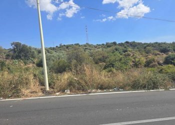 7.jpg - Agricultural land Via Luigi Pirandello, Camporotondo Etneo - photo 7