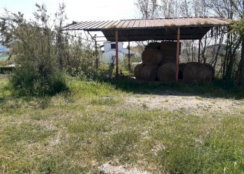 Rustico contrada reille, Atri - foto 1