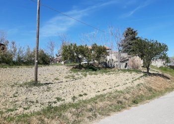 Rustico contrada reille, Atri - foto 2