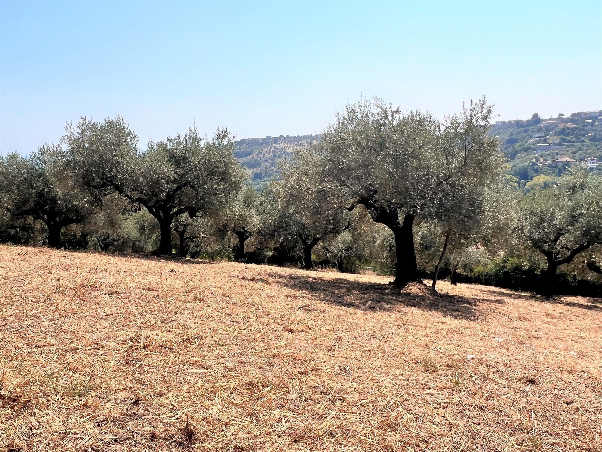 Building land Via Alcide de gasperi, 54, Montesilvano - photo 1