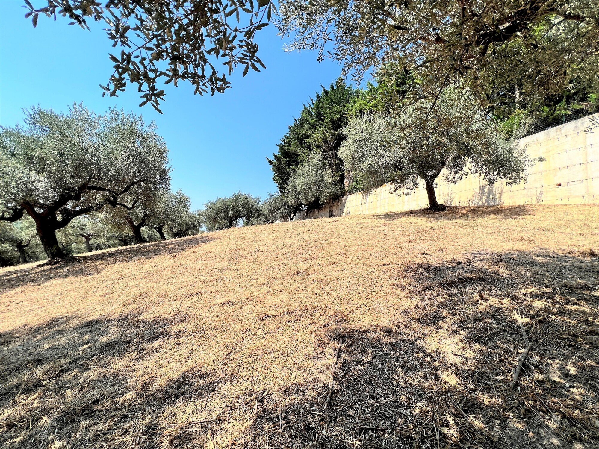 Building land Via Alcide de gasperi, 54, Montesilvano - photo 2