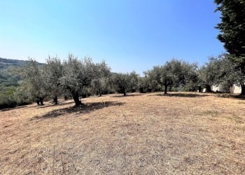 Building land Via Alcide de gasperi, 54, Montesilvano - photo 6