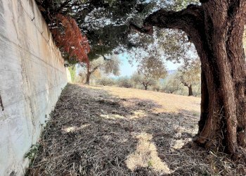 Building land Via Alcide de gasperi, 54, Montesilvano - photo 7