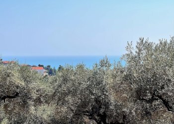 Building land Via Alcide de gasperi, 54, Montesilvano - photo 8