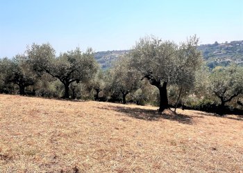 Building land Via Alcide de gasperi, 54, Montesilvano - photo 9