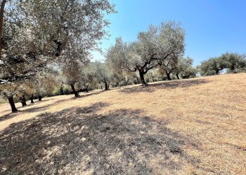 Building land Via Alcide de gasperi, 54, Montesilvano - photo 12