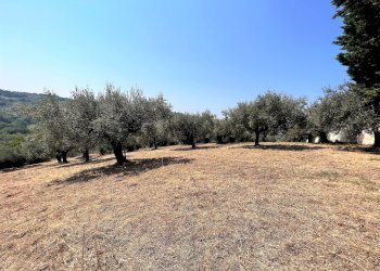 Building land Via Alcide de gasperi, 54, Montesilvano - photo 14