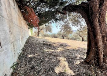 Building land Via Alcide de gasperi, 54, Montesilvano - photo 15