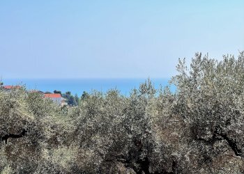 Building land Via Alcide de gasperi, 54, Montesilvano - photo 16