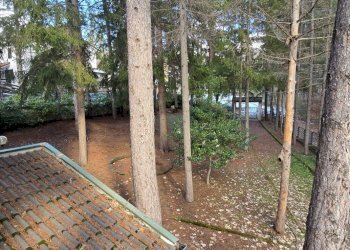 Villa Bifamiliare via Pescara, 10, Campo di Giove - foto 18