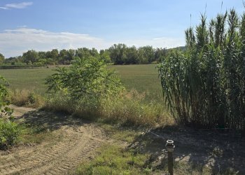 Rustico via della stazione, Rosciano - foto 5