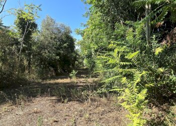 Rustico via della stazione, Rosciano - foto 12