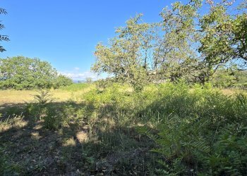 Rustico via della stazione, Rosciano - foto 18