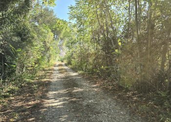 Rustico via della stazione, Rosciano - foto 21