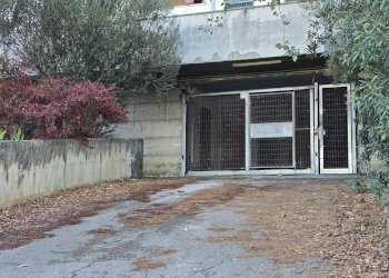 Posto Auto Via Remo Ronchitelli, Pescara - foto 1