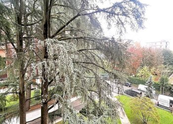 Trilocale Monza - foto 21