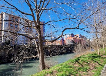 Laboratorio Via Cuneo, 53, Torino (zona Aurora) - foto 37