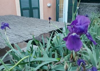 Trilocale via vianson, Genova (zona Pegli) - foto 22