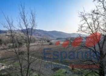 Bilocale Castrocaro Terme e Terra del Sole - foto 14