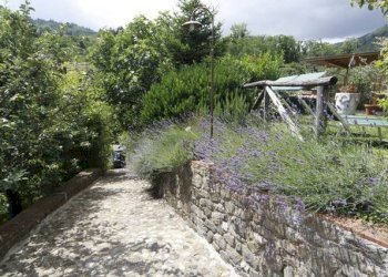 Foto 3 - Rustico via del Poggetto, San Marcello Piteglio - foto 3