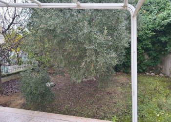 Foto 21 - Appartamento Silvi - foto 21