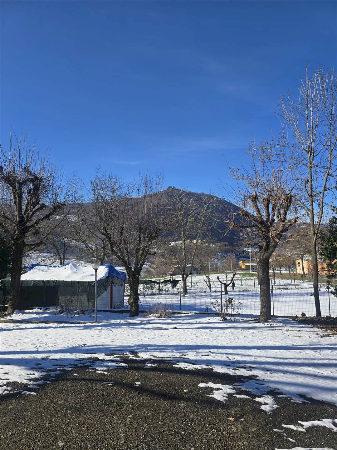 Villa Serramazzoni - photo 3