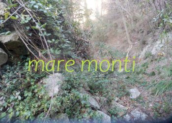 Foto 8 - Rustico località cerisole, Albisola Superiore - foto 7