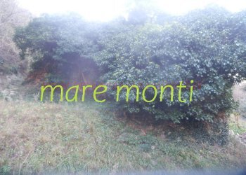 Foto 10 - Rustico località cerisole, Albisola Superiore - foto 9