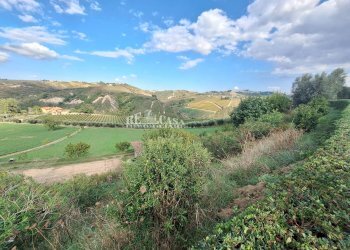 Foto 27 - Independent house contrada san Lazzaro, Offida - photo 27